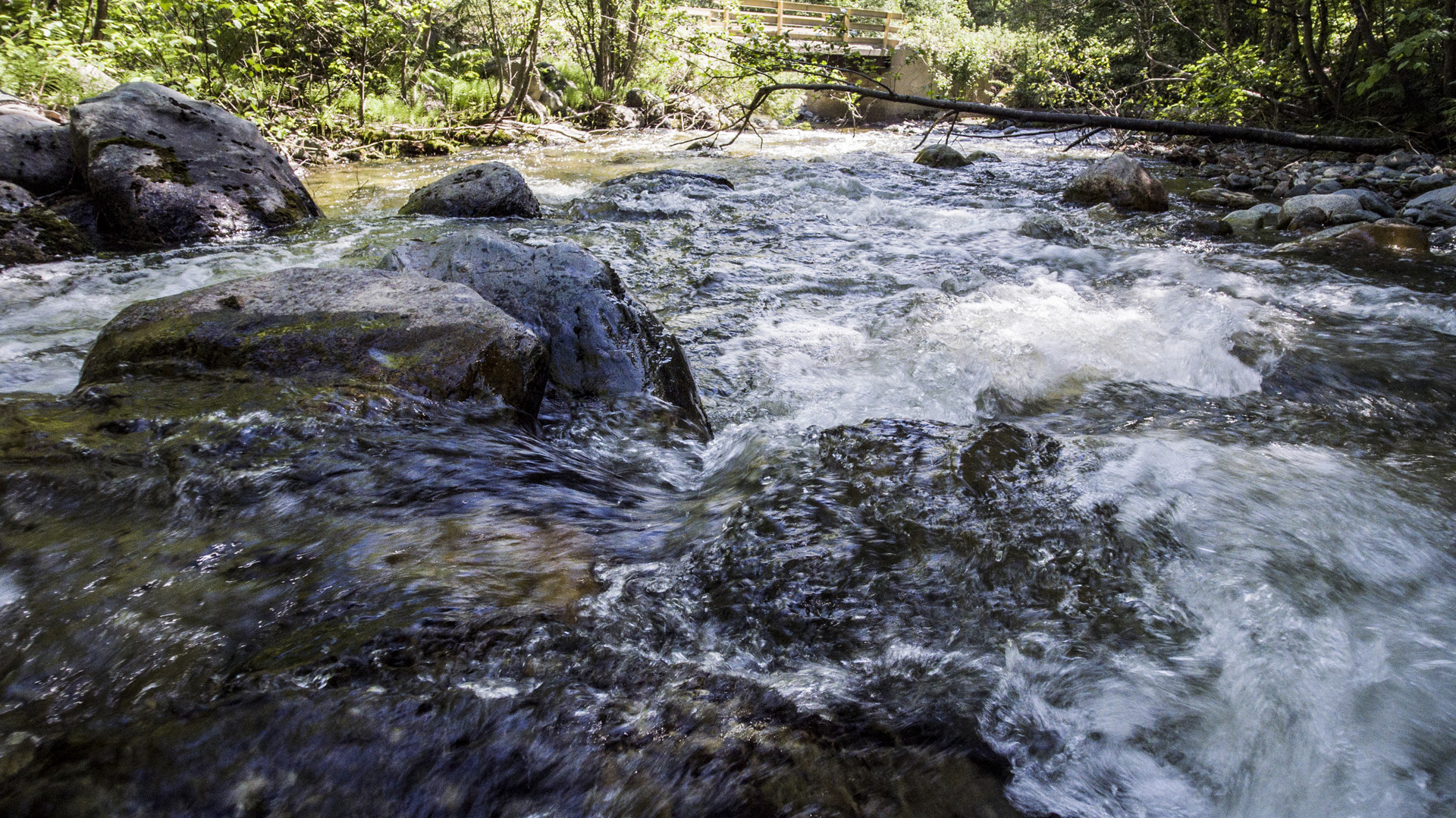 Aerial Photos and Video Jamieson Creek Kamloops