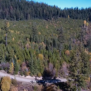 UAV aerial rangeland cattle search