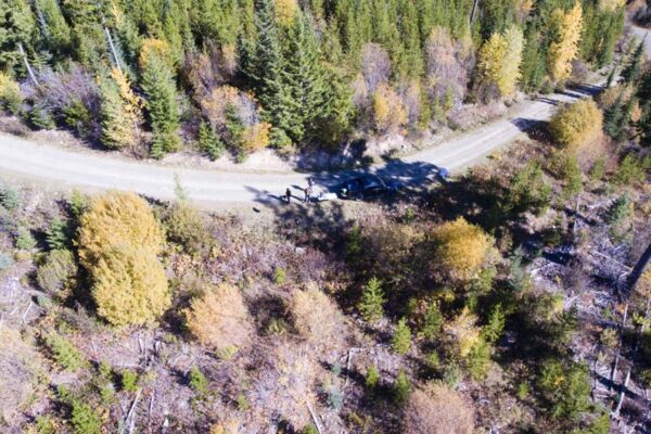 UAV command centre searching for cattle