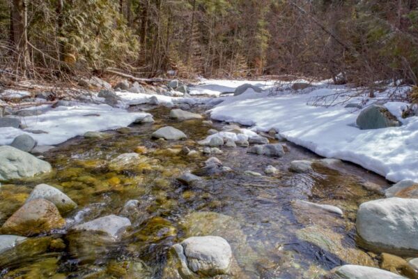 Jamieson Creek ground level view March 25, 2018 Jamieson Creek ground level view March 25, 2018