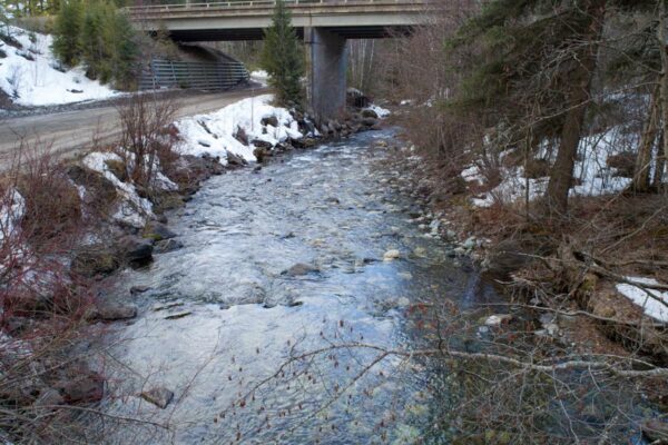 Lemieux Creek ground level view March 25, 2018