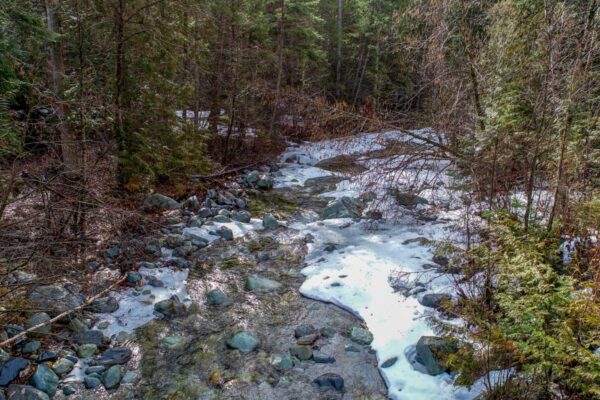 Jamieson Creek ground level view March 30, 2018 Jamieson Creek ground level view March 30, 2018