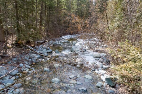 Jamieson Creek ground level view April 9, 2018 Jamieson Creek ground level view April 9, 2018