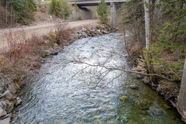 Lemieux Creek ground level view April 9, 2018