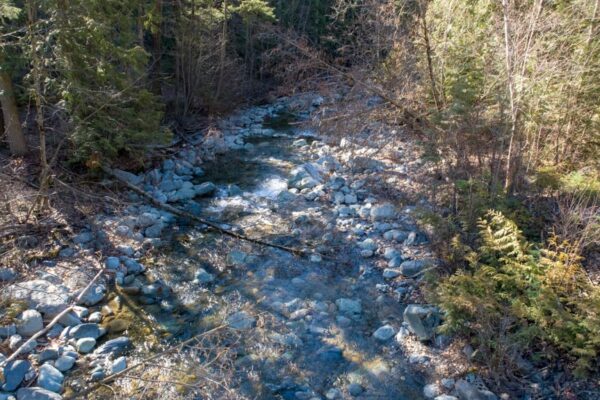 Jamieson Creek ground level view April 19, 2018 Jamieson Creek ground level view April 19, 2018