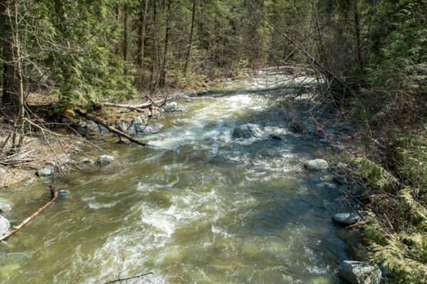 Jamieson Creek ground level view April 27, 2018 Jamieson Creek ground level view April 27, 2018
