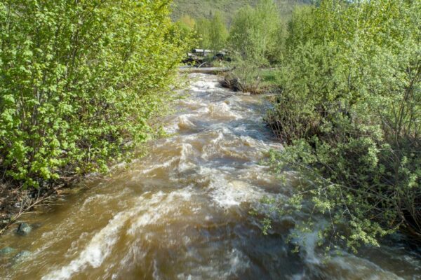 UAV aerial photography at Fishtrap Creek Fishtrap Creek ground level view May 8, 2018