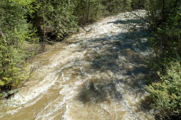 Jamieson Creek ground level view May 8, 2018 Jamieson Creek ground level view May 8, 2018