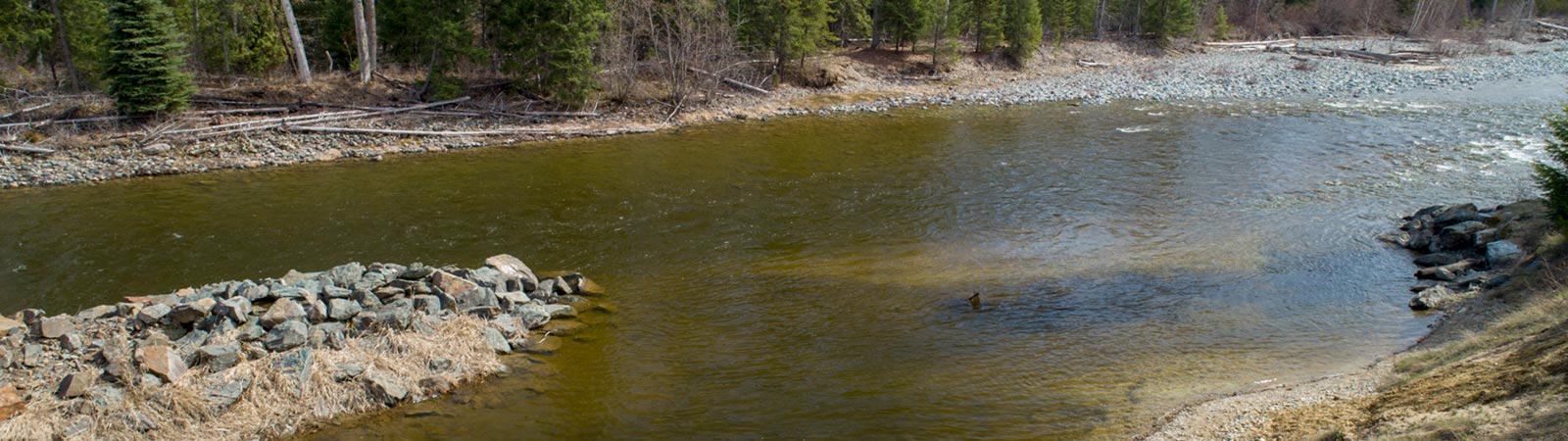 Firefox UAV Barriere River Aerial Photos
