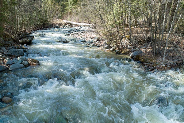 UAV aerial photography at Jamieson Creek