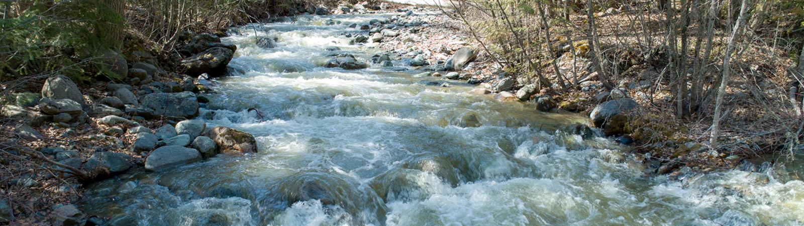 Thompson Flood Watch Jamieson Creek