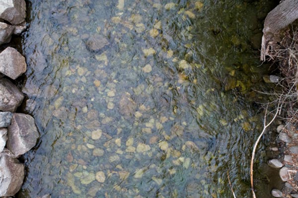 Lemieux Creek April 9, 2018