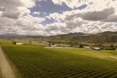 Firefox UAV Aerial Photos at Harpers Trail Estate Winery and Vineyard
