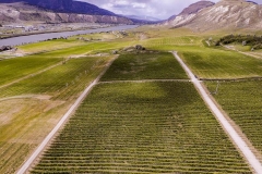 Firefox UAV Aerial Photos at Harpers Trail Estate Winery and Vineyard