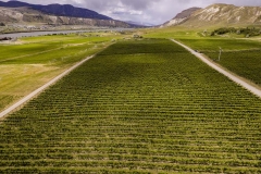 Firefox UAV Aerial Photos at Harpers Trail Estate Winery and Vineyard