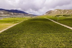 Firefox UAV Aerial Photos at Harpers Trail Estate Winery and Vineyard