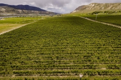 Firefox UAV Aerial Photos at Harpers Trail Estate Winery and Vineyard