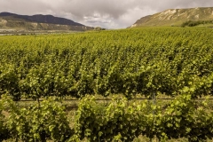 Firefox UAV Aerial Photos at Harpers Trail Estate Winery and Vineyard