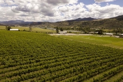 Firefox UAV Aerial Photos at Harpers Trail Estate Winery and Vineyard