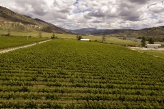Firefox UAV Aerial Photos at Harpers Trail Estate Winery and Vineyard