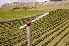 Firefox UAV Aerial Photos at Harpers Trail Estate Winery and Vineyard