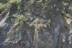 Firefox UAV Tank Hill Rock Slope Stabilization Inspection