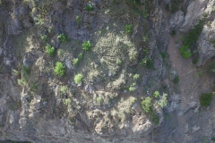 Firefox UAV Tank Hill Rock Slope Stabilization Inspection