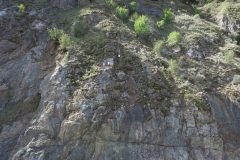 Firefox UAV Tank Hill Rock Slope Stabilization Inspection